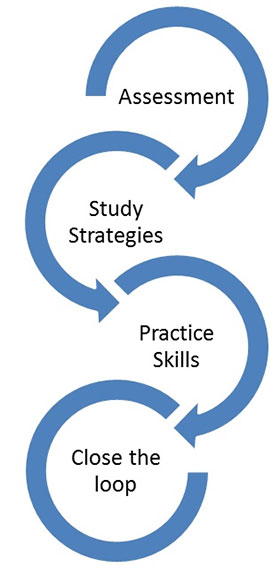 Success Coaching flow chart that reads assessment, study strategies, practice skills and close the loop.