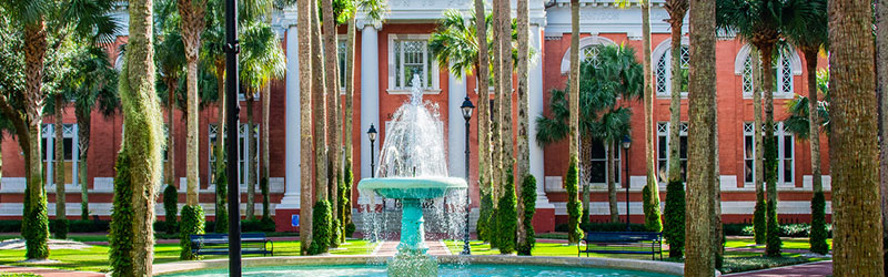 Excited individuals in green Stetson University attire celebrate at an outdoor event.