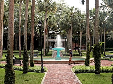 person walking through palm court