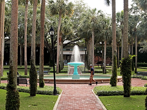 person walking through palm court