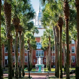 Elizabeth Hall from the Palm Court view on a sunny day.