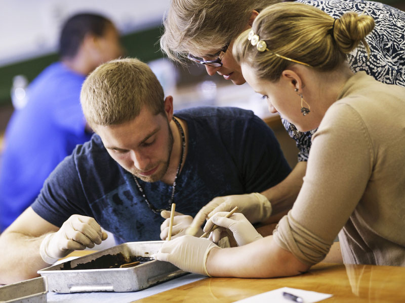 students working together in a science classroom