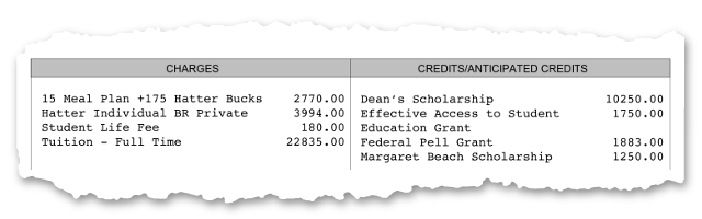 Charges, Credits and Anticipated Credits section of the sample bill