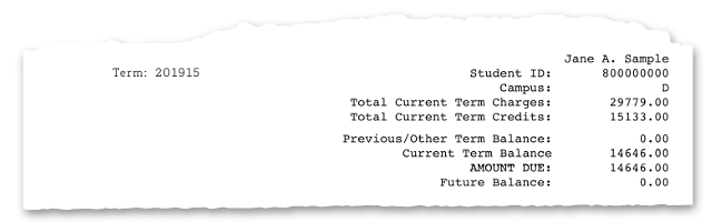 Billing Summary section of the sample bill