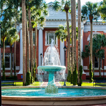 landscape shot of university