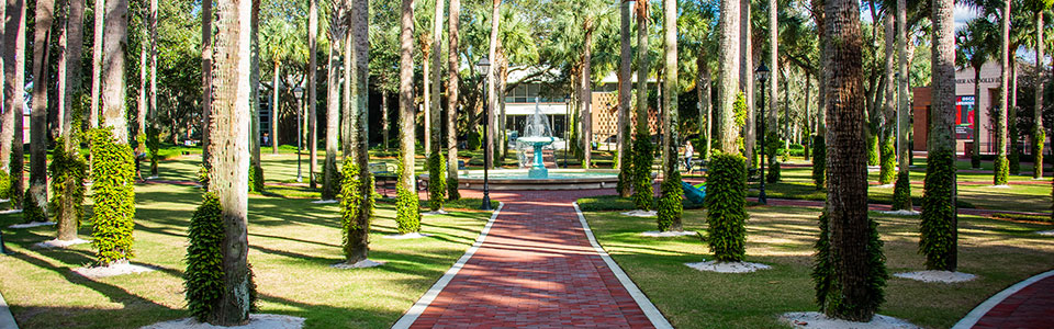 The brick pathway through the Palm Court towards the Student Success Center
