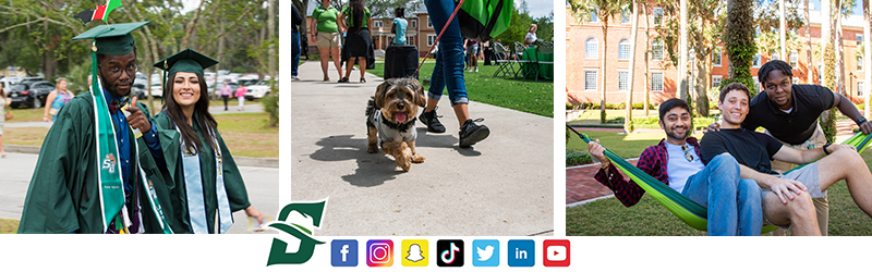 An image of students graduating, an image of a dog and an image of students on a hammock