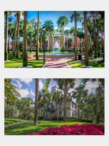 Virtual Meeting Background