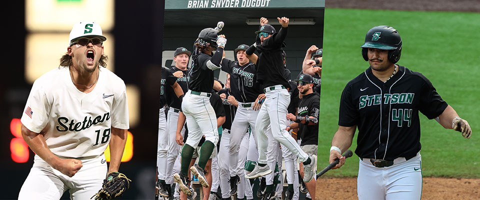 Baseball Collage