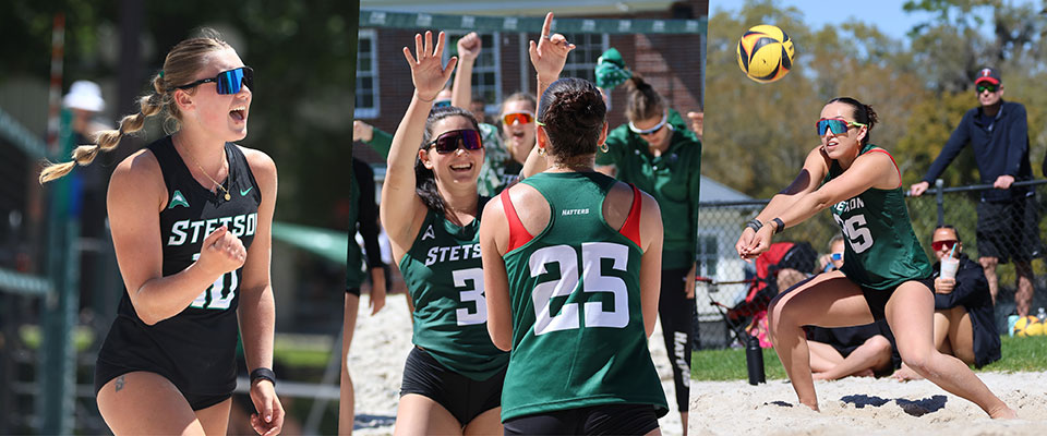 Beach Volleyball Collage