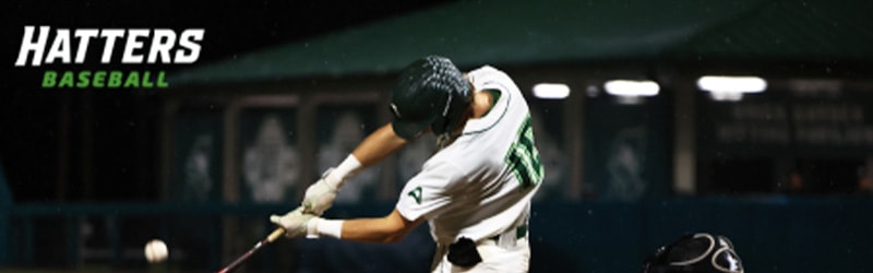 Stetson Baseball student batting during game