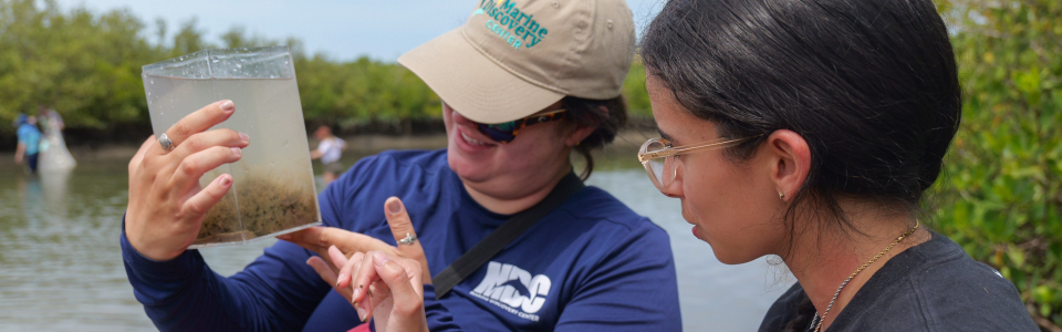 stetson student and professor doing research outside