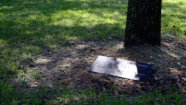 Memorial Tree