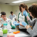 Stetson Students working on lab project