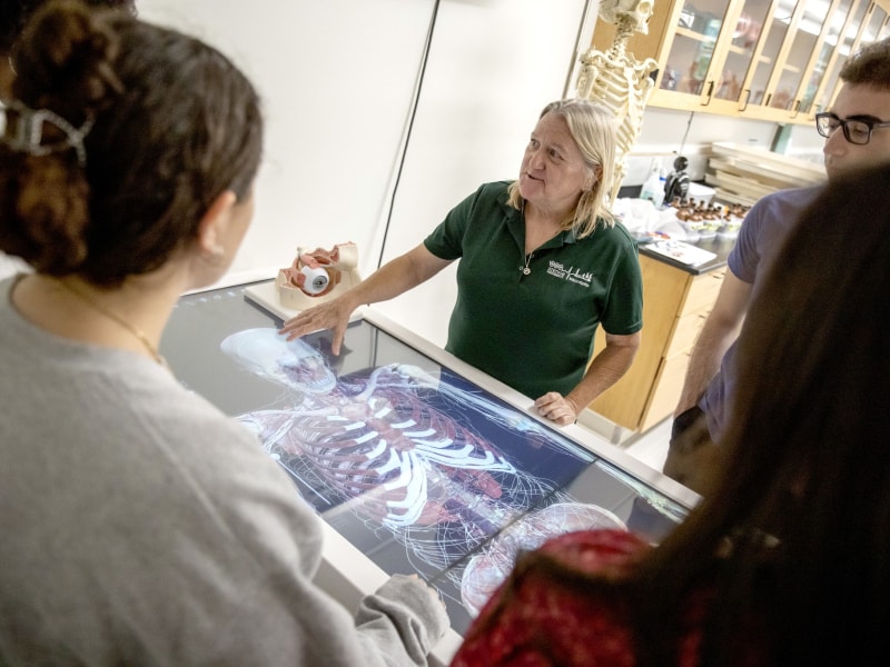 science professor going over anatomy table