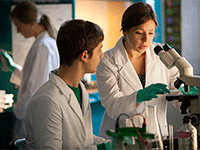 Undergraduate Research