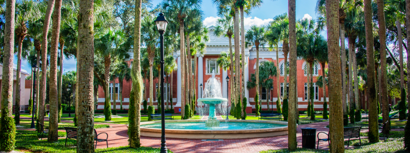 palm court during a sunny day