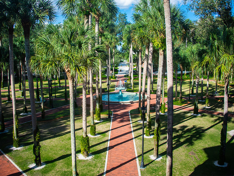 aerial view of the palm court looking north