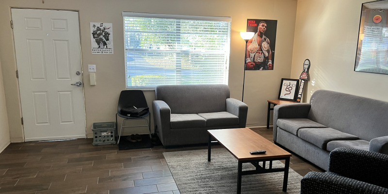 Living room complete with sofas, coffee table and rug