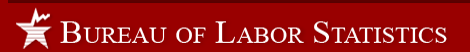 BLS Logo