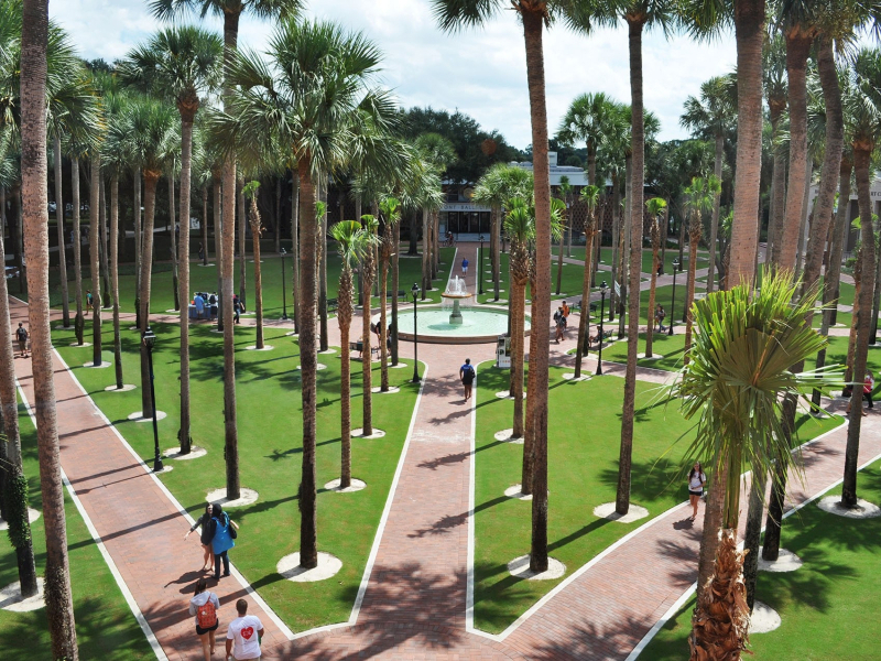 palm court view to library
