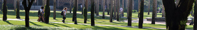 Palm court during the day