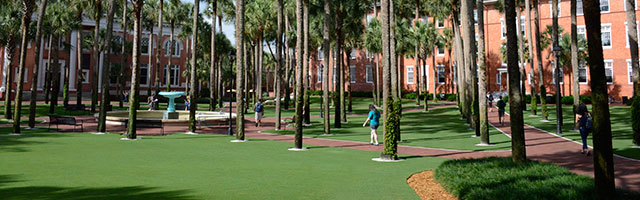 Palm court view displaying Elizabeth Hall and Sampson Hall