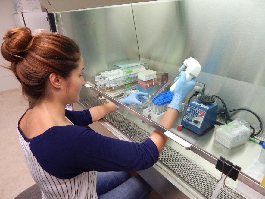 Monika Chojnacka working with her human cell cultures in the laminar flow hood