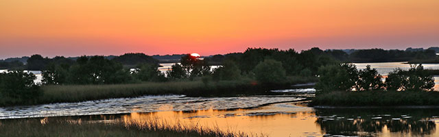 Cedar Key