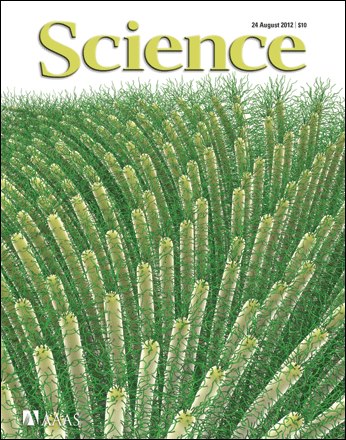 Button et al, Science, Vol. 337 cover