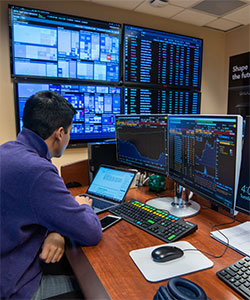 A business student looking at graphs on a computer