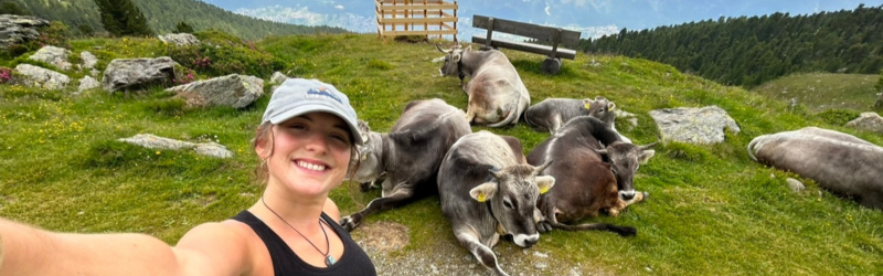 girl taking selfie with cows during trip