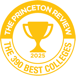 Princeton Review Top 389