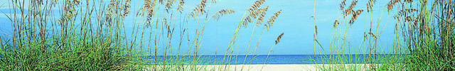 beach with sea oats