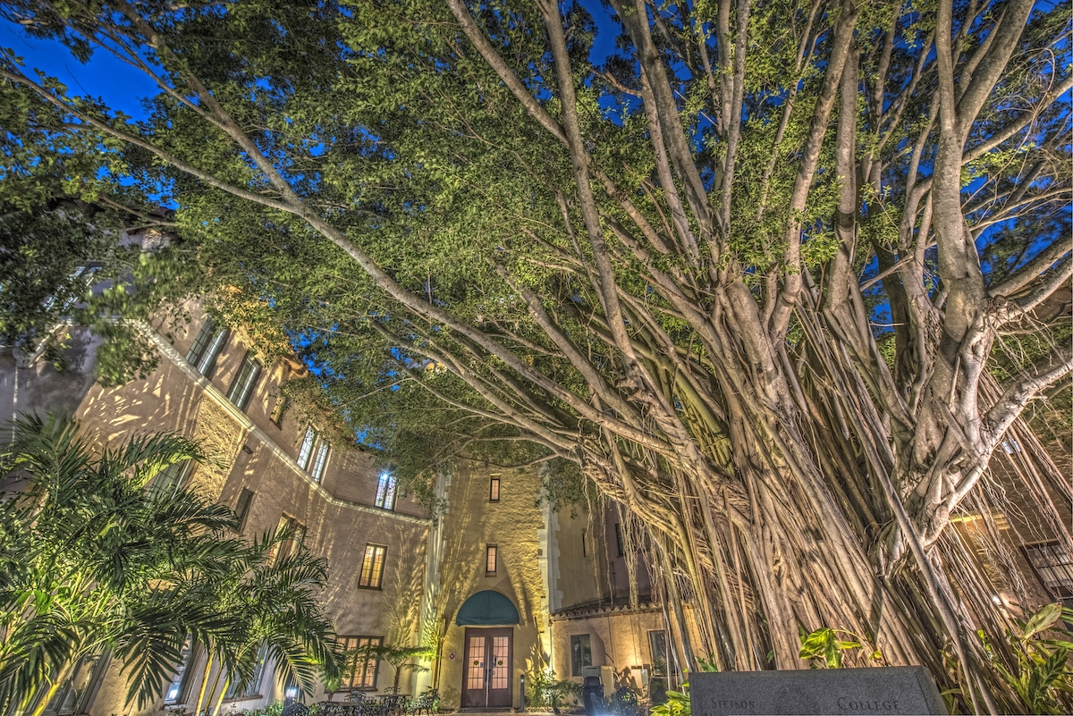 Group dining in Downtown St. Pete, Florida