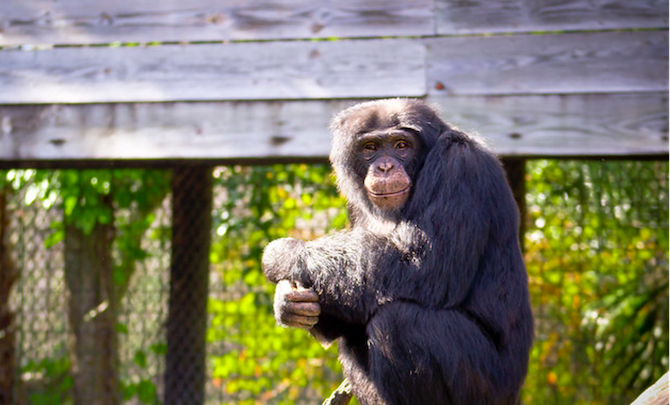 Lowry Park Zoo