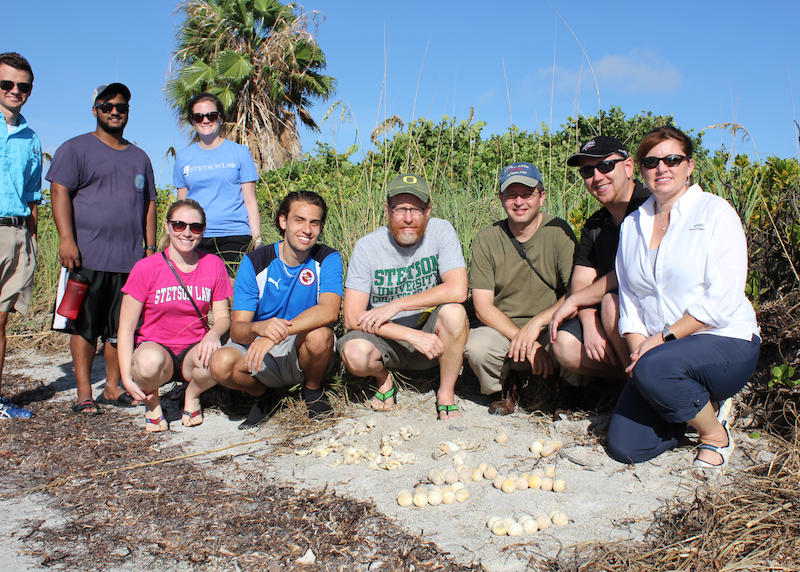 Professors Lance Long and Royal Gardner pose with students behind a sea turtle nest with recently hatched eggs