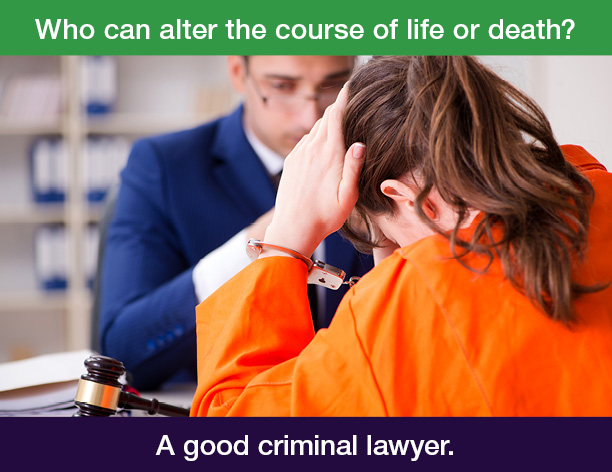 criminal law flyer