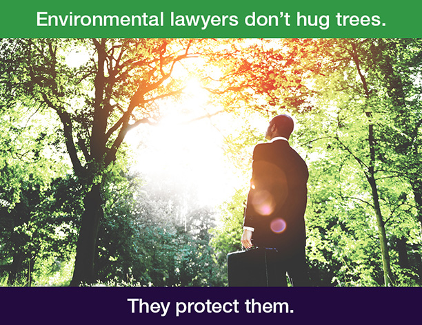 environmental law flyer