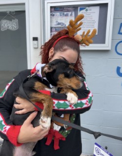 a cute dog being held