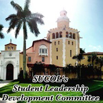 stetson law leadership development program