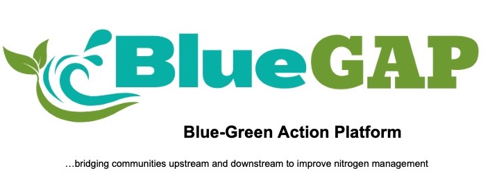 blue gap logo