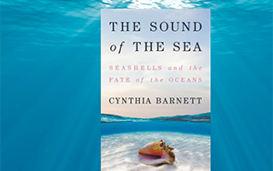 The Sound of the Sea Seashells and the Fate of the Oceans