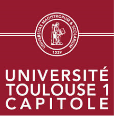 Toulouse Capitole University Logo