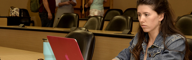 student taking notes on computer
