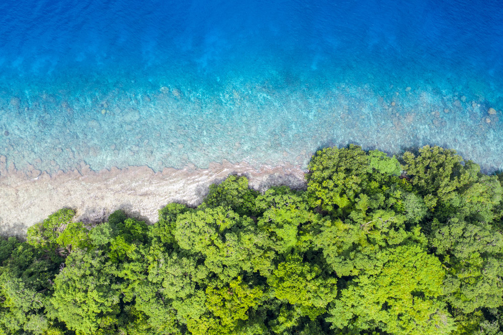 coast stock image