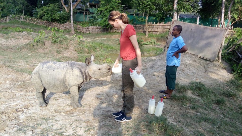 Kate Welch had an opportunity to feed a baby rhino in India.