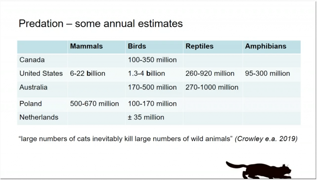 Statistics on cat predation show they kill more than a billion birds in the United States alone.