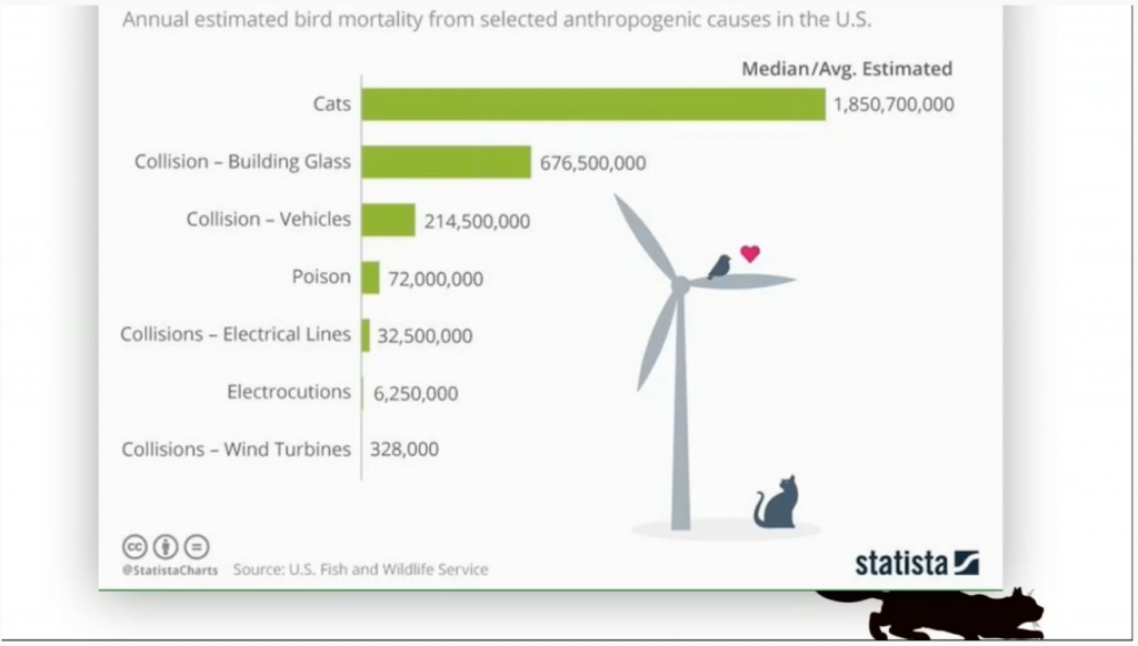 Statistics on annual bird mortality from various causes shows cats are responsible for more bird deaths than collisions with buildings or any other human cause.