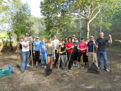 Large group of volunteers 